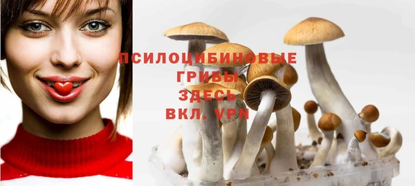 MESCALINE Аркадак