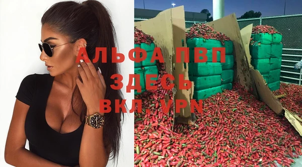 винт Армянск