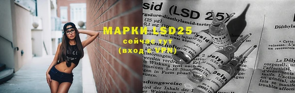 MESCALINE Аркадак